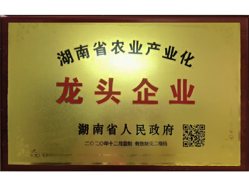 岳陽市漁之源食品有限公司,岳港漁都,洞庭魚港,散稱系列,田螺系列,臭豆腐加工，香豆腐加工，烤脖加工，魚仔,鴨排加工、雞丁加工代加工